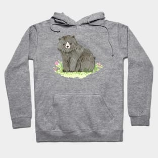 Oso Pardo Hoodie